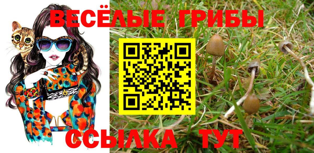 Псилоцибиновые грибы Magic Shrooms Калуга