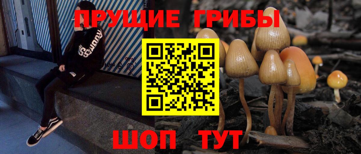 Галлюциногенные грибы Psilocybe  Вход с VPN  Калуга  Галлюциногенные грибы ЛСД 